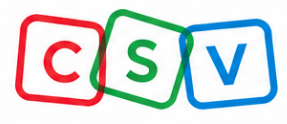 CSViser